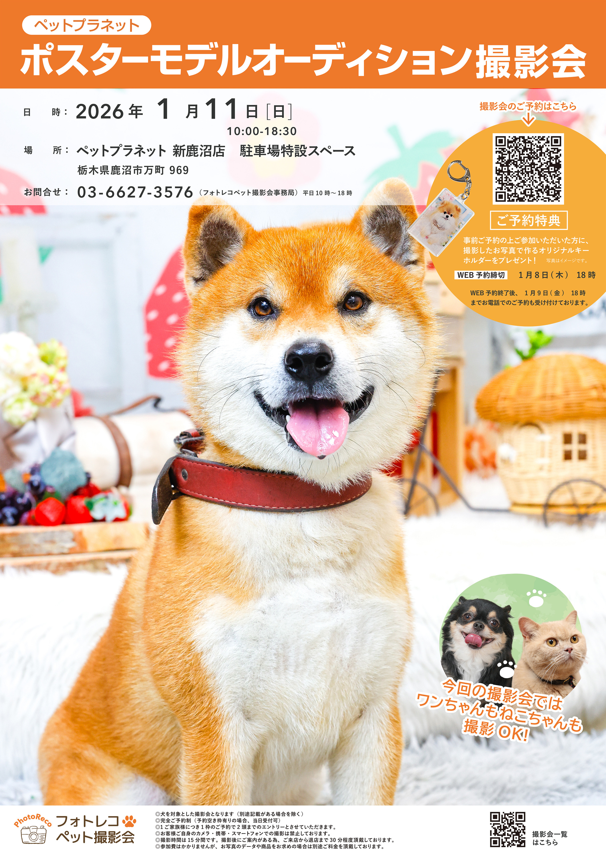 ※いぬ様専門ページ 1/10 EP 2WD バギー 組立てキット アルティマSB デューンマスター