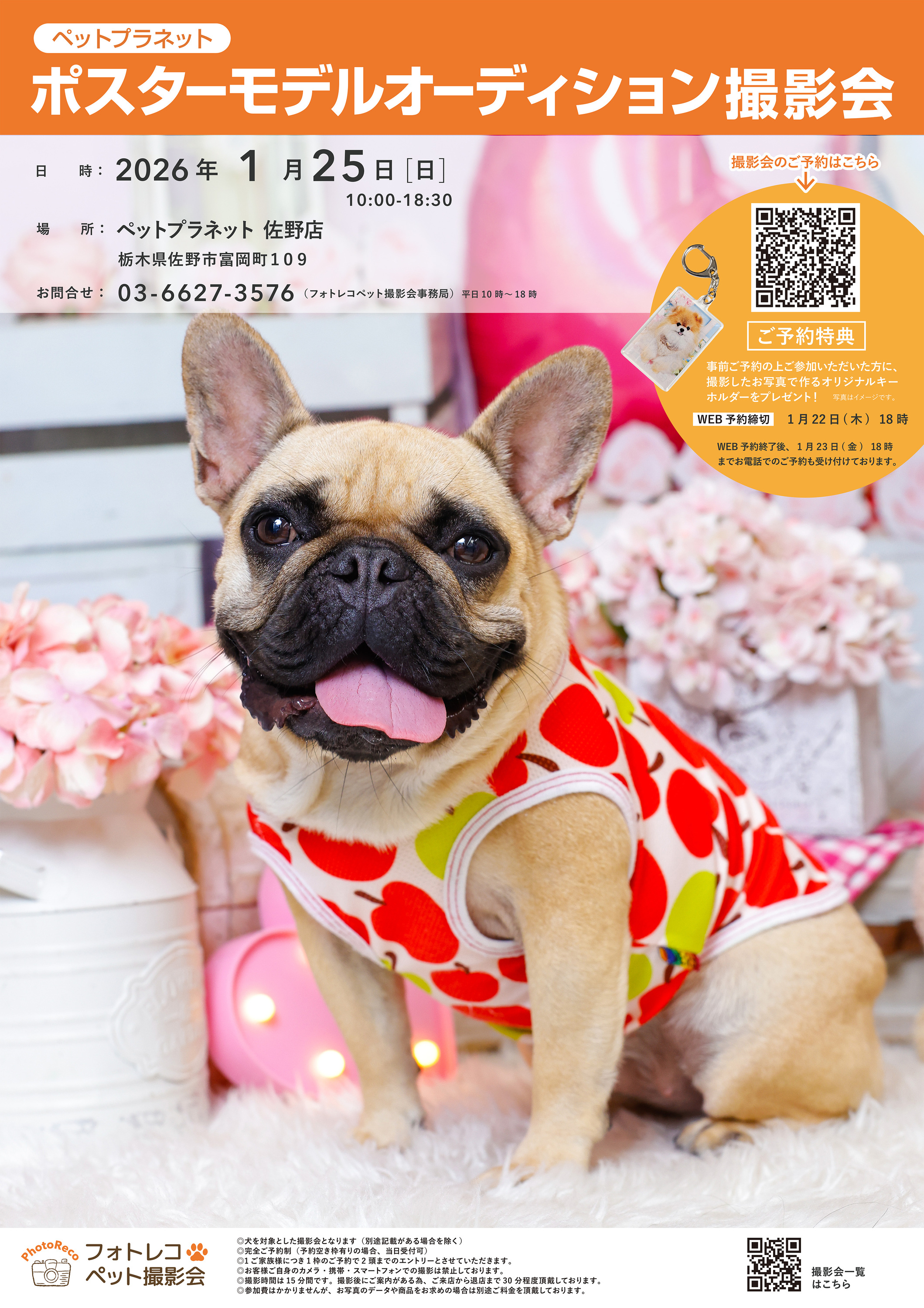 ペットのポスターモデルオーディション撮影会｜ホームセンター カンセキ