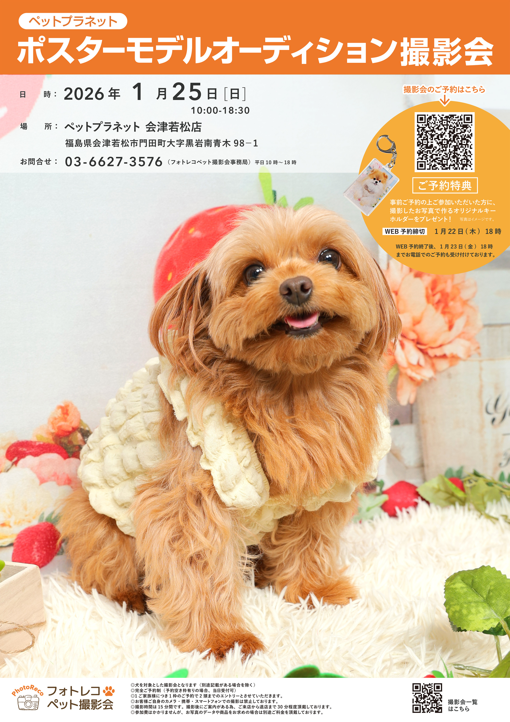 ペットのポスターモデルオーディション撮影会｜ホームセンター カンセキ
