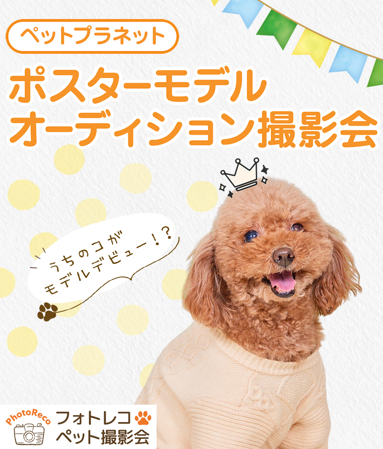 ポスターモデルオーディション撮影会（4月開催）【白河店】