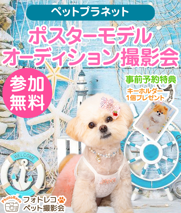 ポスターモデルオーディション撮影会（6月開催）【西川田店＋真岡店】